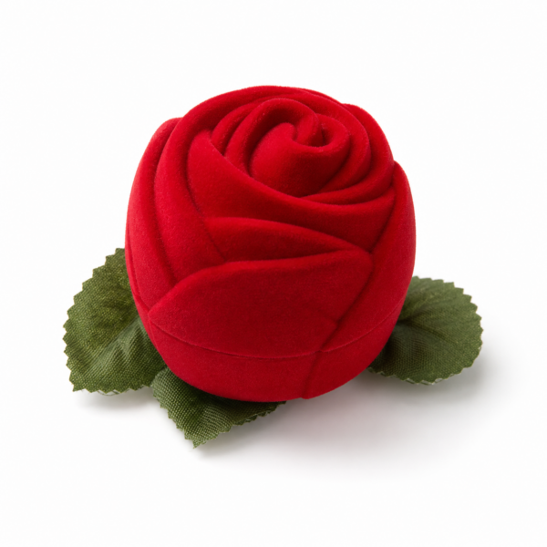 Boîte à bijou rose rouge