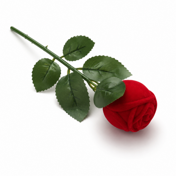 Boîte à bijou tige rose rouge